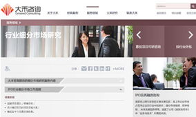 大禾咨询官方网站设计制作 沙漠风网站建设公司的成功案例解析